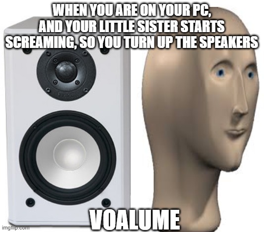 I made a new meme format... | WHEN YOU ARE ON YOUR PC, AND YOUR LITTLE SISTER STARTS SCREAMING, SO YOU TURN UP THE SPEAKERS; VOALUME | image tagged in funny memes | made w/ Imgflip meme maker