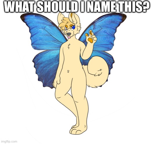 E | WHAT SHOULD I NAME THIS? | made w/ Imgflip meme maker