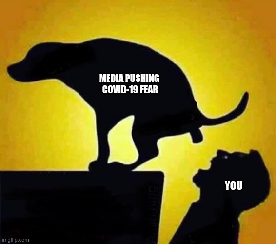 media fear | MEDIA PUSHING 
COVID-19 FEAR; YOU | image tagged in covid-19 | made w/ Imgflip meme maker