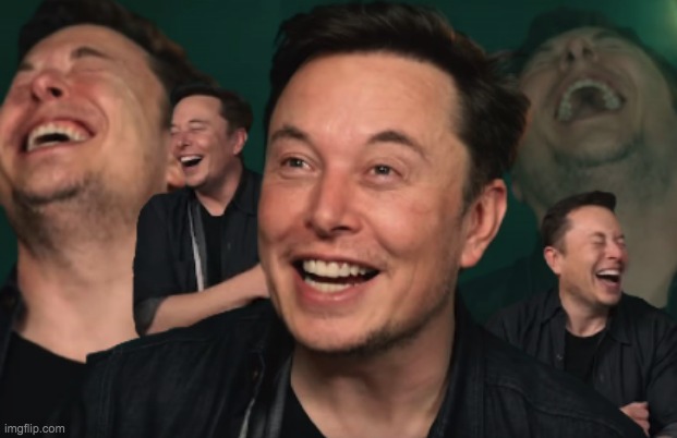 Elon laughing | image tagged in elon laughing | made w/ Imgflip meme maker