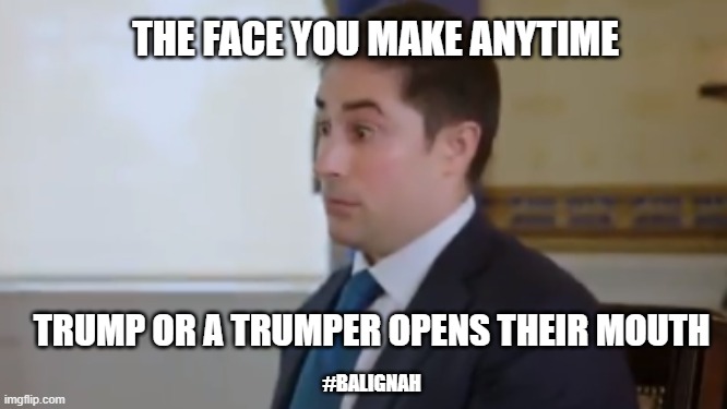 not again | THE FACE YOU MAKE ANYTIME; TRUMP OR A TRUMPER OPENS THEIR MOUTH; #BALIGNAH | image tagged in wtf,donald trump | made w/ Imgflip meme maker