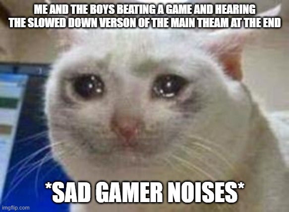 Sad cat | ME AND THE BOYS BEATING A GAME AND HEARING THE SLOWED DOWN VERSON OF THE MAIN THEAM AT THE END; *SAD GAMER NOISES* | image tagged in sad cat | made w/ Imgflip meme maker