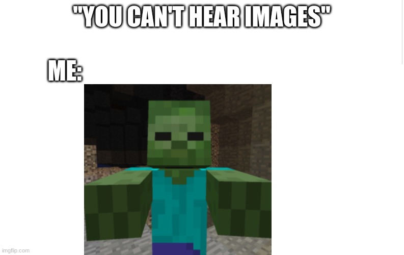 Blank meme template | "YOU CAN'T HEAR IMAGES"; ME: | image tagged in blank meme template | made w/ Imgflip meme maker