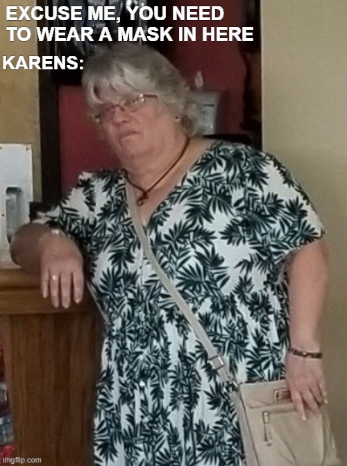 Disapproving Mother in Law | EXCUSE ME, YOU NEED TO WEAR A MASK IN HERE; KARENS: | image tagged in disapproving mother in law | made w/ Imgflip meme maker