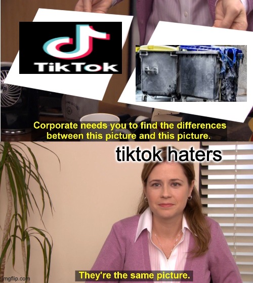tiktok is trash | tiktok haters | image tagged in memes,they're the same picture | made w/ Imgflip meme maker
