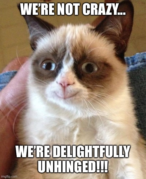 We’re not crazy, we’re delightfully unhinged!! | WE’RE NOT CRAZY... WE’RE DELIGHTFULLY UNHINGED!!! | image tagged in memes,grumpy cat happy,grumpy cat,crazy | made w/ Imgflip meme maker