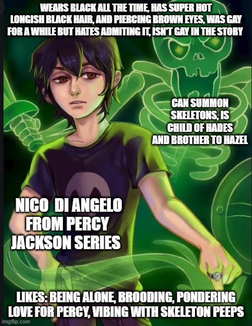 WEARS BLACK ALL THE TIME, HAS SUPER HOT LONGISH BLACK HAIR, AND PIERCING BROWN EYES, WAS GAY FOR A WHILE BUT HATES ADMITING IT, ISN'T GAY IN THE STORY; CAN SUMMON SKELETONS, IS CHILD OF HADES AND BROTHER TO HAZEL; NICO  DI ANGELO
FROM PERCY JACKSON SERIES; LIKES: BEING ALONE, BROODING, PONDERING LOVE FOR PERCY, VIBING WITH SKELETON PEEPS | made w/ Imgflip meme maker