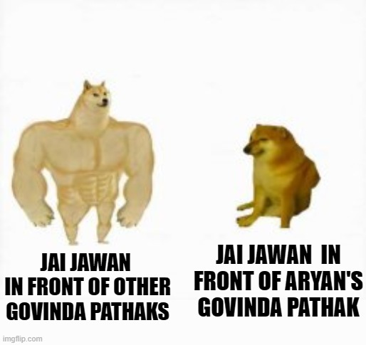 Two dogs | JAI JAWAN  IN FRONT OF ARYAN'S GOVINDA PATHAK; JAI JAWAN  IN FRONT OF OTHER GOVINDA PATHAKS | image tagged in two dogs | made w/ Imgflip meme maker
