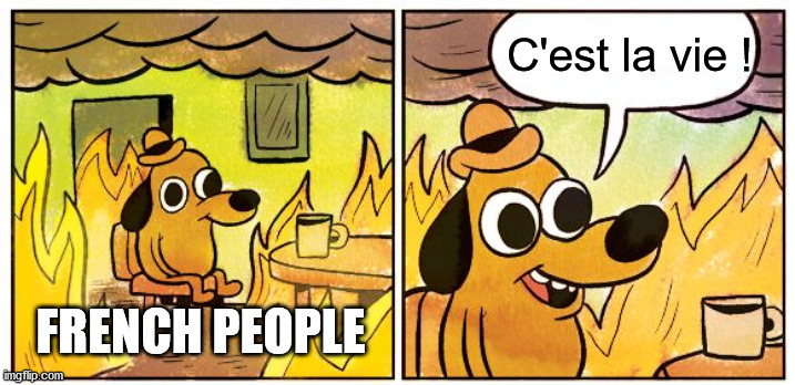 This Is Fine | C'est la vie ! FRENCH PEOPLE | image tagged in memes,this is fine | made w/ Imgflip meme maker