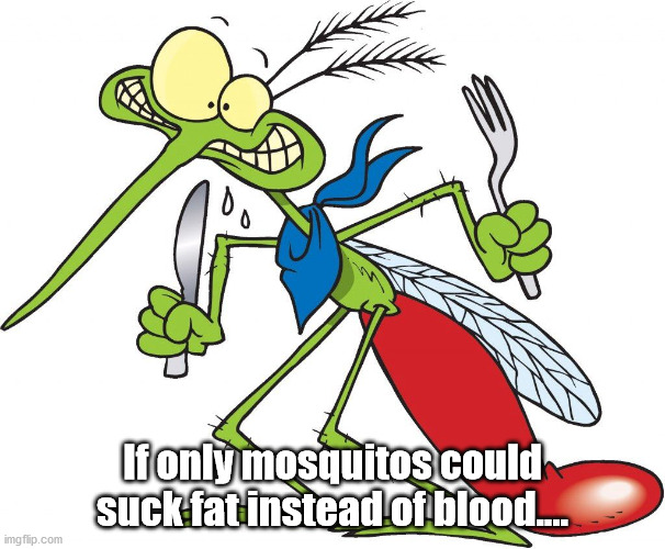 Mosquito | If only mosquitos could suck fat instead of blood.... | image tagged in parkhill mosquito | made w/ Imgflip meme maker