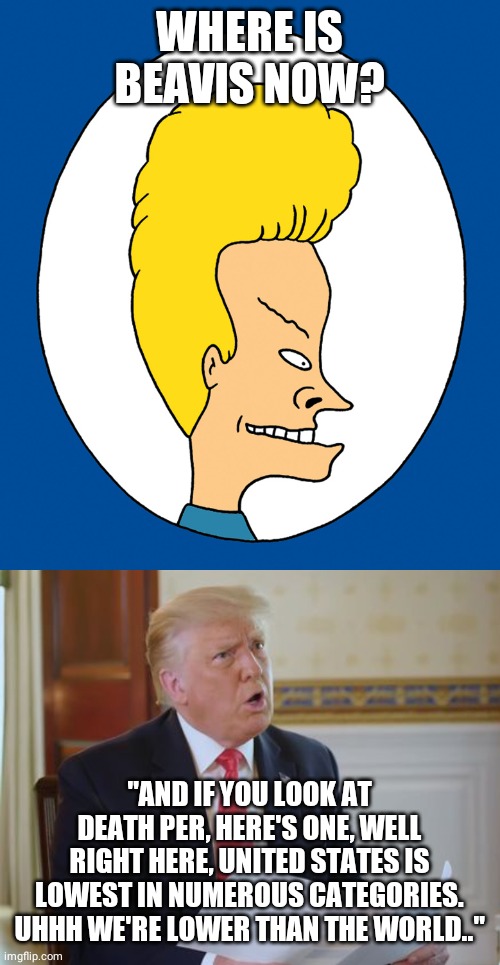 Where is Beavis now?! | WHERE IS BEAVIS NOW? "AND IF YOU LOOK AT DEATH PER, HERE'S ONE, WELL RIGHT HERE, UNITED STATES IS LOWEST IN NUMEROUS CATEGORIES. UHHH WE'RE LOWER THAN THE WORLD.." | image tagged in trump,donald trump,covid-19,coronavirus,death | made w/ Imgflip meme maker