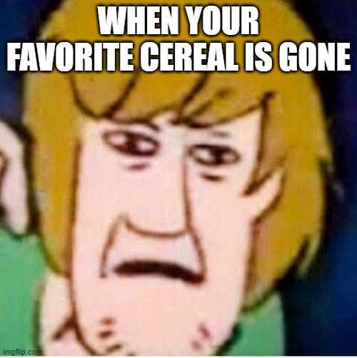 Shaggy | WHEN YOUR FAVORITE CEREAL IS GONE | image tagged in shaggy | made w/ Imgflip meme maker