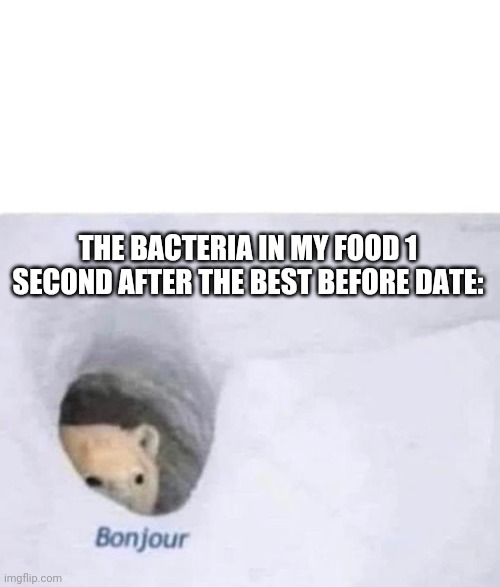 Best before date | THE BACTERIA IN MY FOOD 1 SECOND AFTER THE BEST BEFORE DATE: | image tagged in bonjour,bacteria,food | made w/ Imgflip meme maker