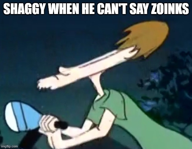 etc. like scoob SHAGGY WHEN HE CAN'T SAY ZOINKS image tagged in oddly ...