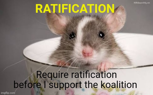 RATIFICATION Require ratification before I support the koalition | made w/ Imgflip meme maker