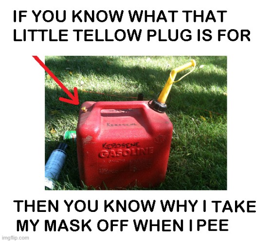 Why I don't wear a mask to use the bathroom. | image tagged in what is that | made w/ Imgflip meme maker