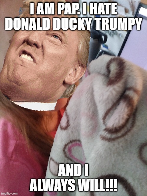 trump haters 2020 | I AM PAP. I HATE DONALD DUCKY TRUMPY; AND I ALWAYS WILL!!! | image tagged in trump,pap,blanket,human,orange,chubby | made w/ Imgflip meme maker