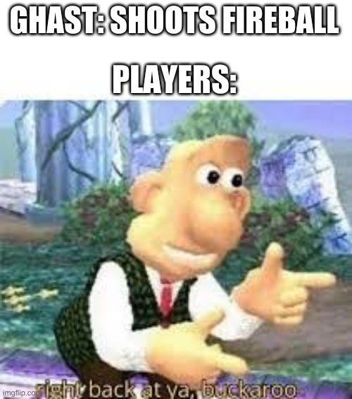 right back at you buckaroo | GHAST: SHOOTS FIREBALL; PLAYERS: | image tagged in right back at you buckaroo | made w/ Imgflip meme maker