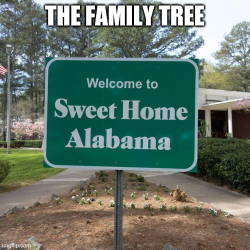 Welcome to sweet home Alabama | THE FAMILY TREE | image tagged in welcome to sweet home alabama | made w/ Imgflip meme maker