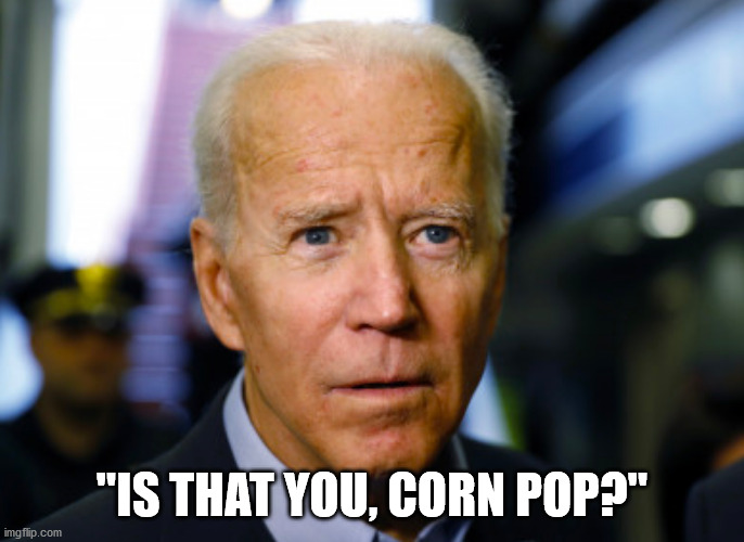 Joe Biden confused | "IS THAT YOU, CORN POP?" | image tagged in joe biden confused | made w/ Imgflip meme maker