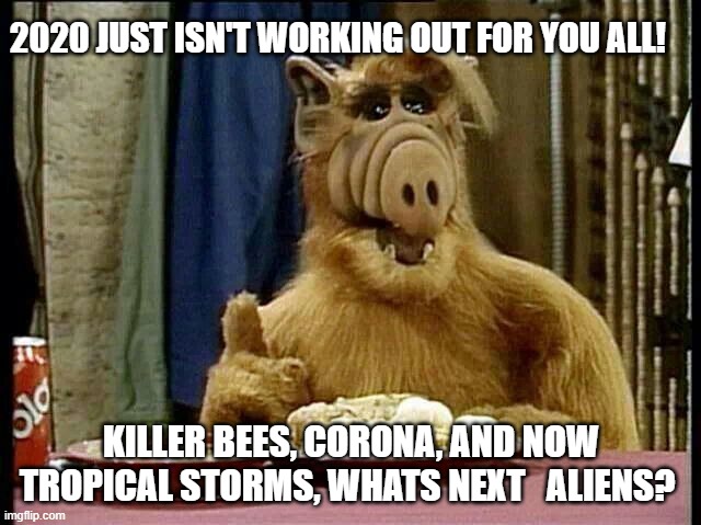 2020 | 2020 JUST ISN'T WORKING OUT FOR YOU ALL! KILLER BEES, CORONA, AND NOW TROPICAL STORMS, WHATS NEXT   ALIENS? | image tagged in new jersey memory page,lisa payne,manville strong | made w/ Imgflip meme maker