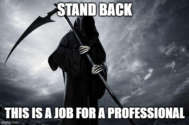 Death | STAND BACK THIS IS A JOB FOR A PROFESSIONAL | image tagged in death | made w/ Imgflip meme maker