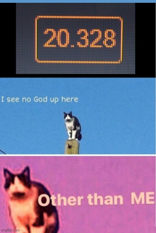 20K+ notifications? | image tagged in hail pole cat | made w/ Imgflip meme maker