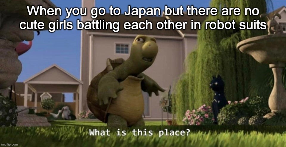 What is this place | When you go to Japan but there are no cute girls battling each other in robot suits | image tagged in what is this place | made w/ Imgflip meme maker