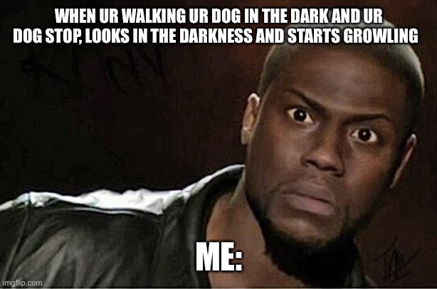 Kevin Hart | WHEN UR WALKING UR DOG IN THE DARK AND UR DOG STOP, LOOKS IN THE DARKNESS AND STARTS GROWLING; ME: | image tagged in memes,kevin hart | made w/ Imgflip meme maker