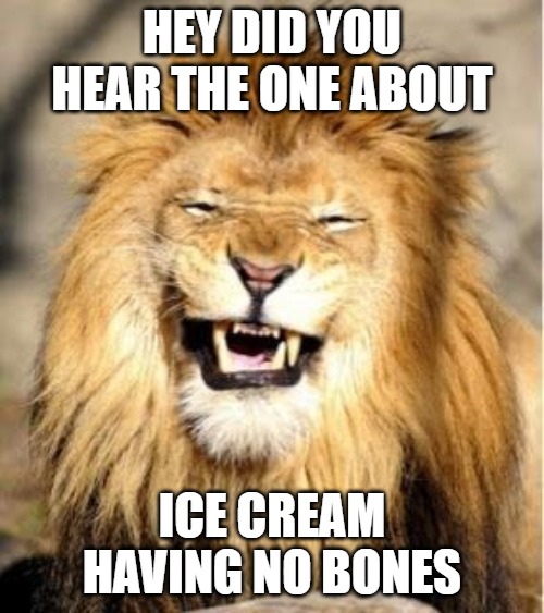 No bones | HEY DID YOU HEAR THE ONE ABOUT; ICE CREAM HAVING NO BONES | image tagged in cats,memes,funny,fun,bones,2020 | made w/ Imgflip meme maker