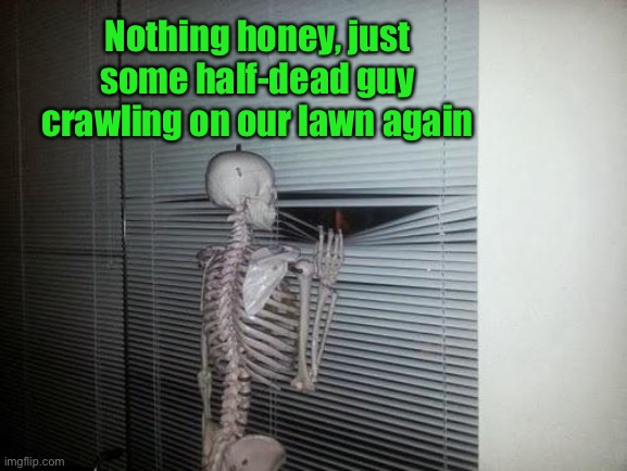 Skeleton Looking Out Window | Nothing honey, just some half-dead guy crawling on our lawn again | image tagged in skeleton looking out window | made w/ Imgflip meme maker