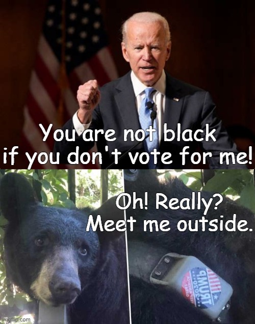 Trumper bear. | You are not black if you don't vote for me! Oh! Really?
Meet me outside. | image tagged in trump,bear,biden | made w/ Imgflip meme maker