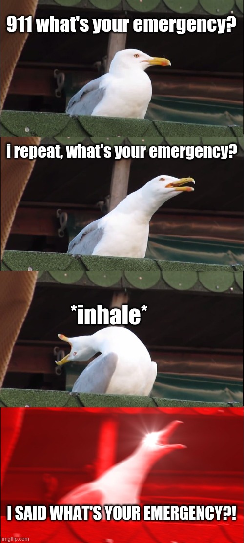 The problem with 911 | 911 what's your emergency? i repeat, what's your emergency? *inhale*; I SAID WHAT'S YOUR EMERGENCY?! | image tagged in memes,inhaling seagull | made w/ Imgflip meme maker