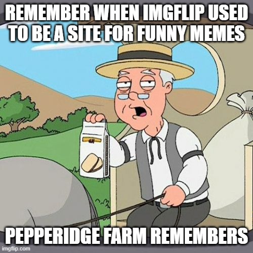 Pepperidge Farm Remembers Meme | REMEMBER WHEN IMGFLIP USED TO BE A SITE FOR FUNNY MEMES; PEPPERIDGE FARM REMEMBERS | image tagged in memes,pepperidge farm remembers | made w/ Imgflip meme maker