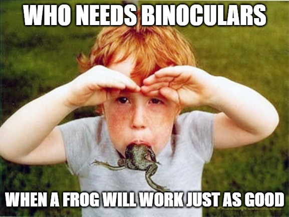 Ancient chinese secret | WHO NEEDS BINOCULARS; WHEN A FROG WILL WORK JUST AS GOOD | image tagged in memes,fun,funny,frogs,funny memes,2020 | made w/ Imgflip meme maker