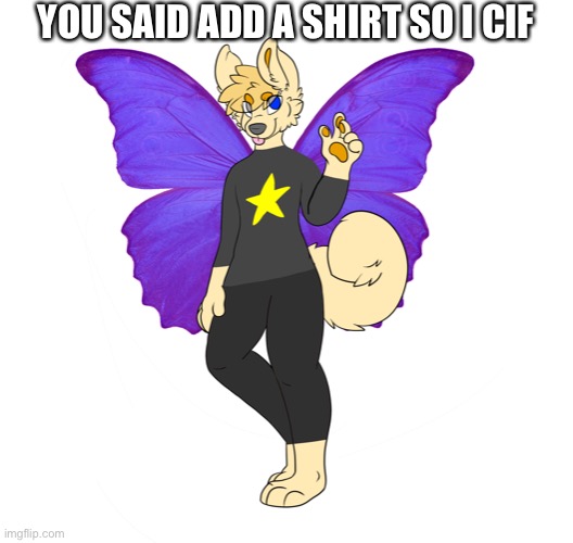E | YOU SAID ADD A SHIRT SO I DID | made w/ Imgflip meme maker