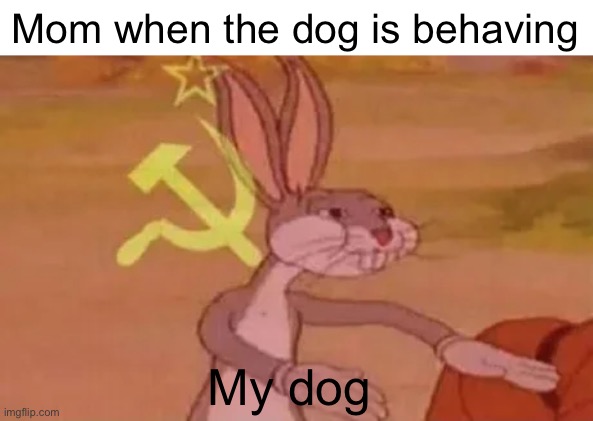 Bugs bunny communist | Mom when the dog is behaving My dog | image tagged in bugs bunny communist | made w/ Imgflip meme maker