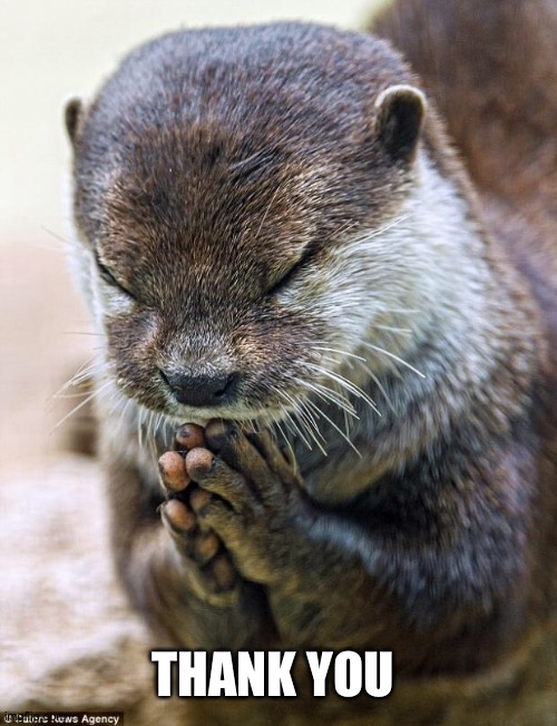 Thank you Lord Otter | THANK YOU | image tagged in thank you lord otter | made w/ Imgflip meme maker