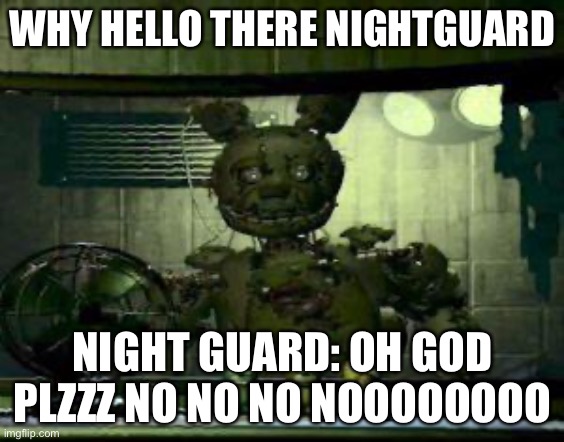 FNAF Springtrap in window | WHY HELLO THERE NIGHTGUARD; NIGHT GUARD: OH GOD PLZZZ NO NO NO NOOOOOOOO | image tagged in fnaf springtrap in window | made w/ Imgflip meme maker