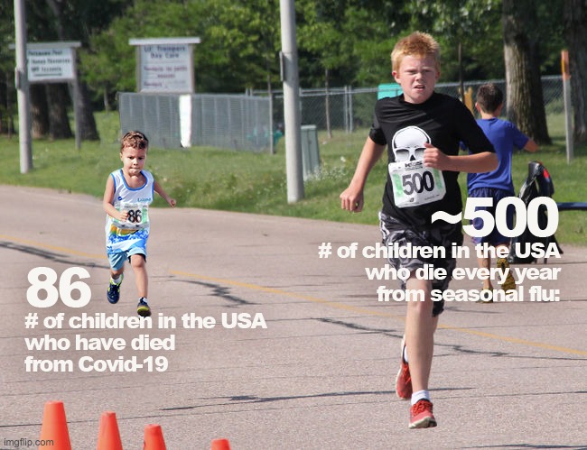 image tagged in covid-19,coronavirus,seasonal flu | made w/ Imgflip meme maker