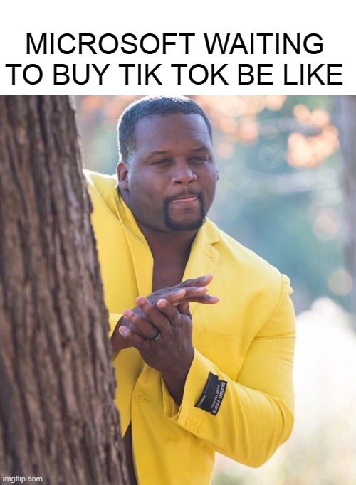 i wish tik tok would just get banned already | MICROSOFT WAITING TO BUY TIK TOK BE LIKE | image tagged in anthony adams | made w/ Imgflip meme maker