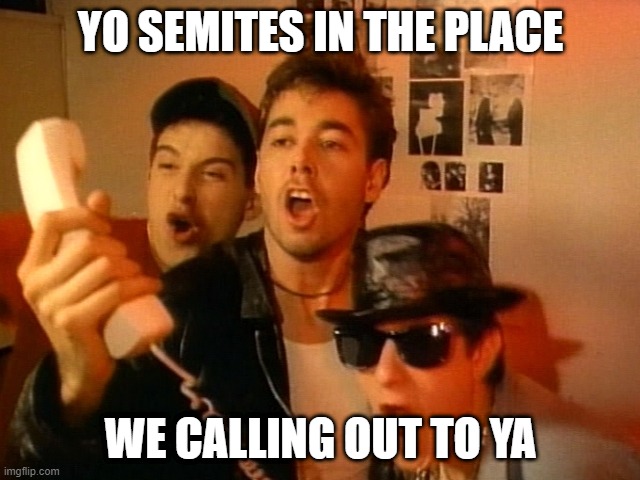 Beastie Boys | YO SEMITES IN THE PLACE; WE CALLING OUT TO YA | image tagged in beastie boys | made w/ Imgflip meme maker