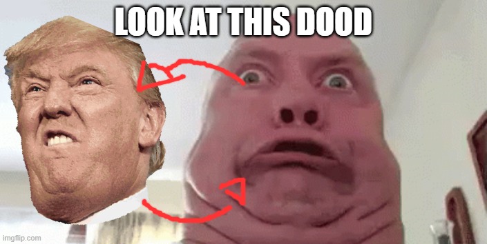 D.T look alike | LOOK AT THIS DOOD | image tagged in donald trump | made w/ Imgflip meme maker