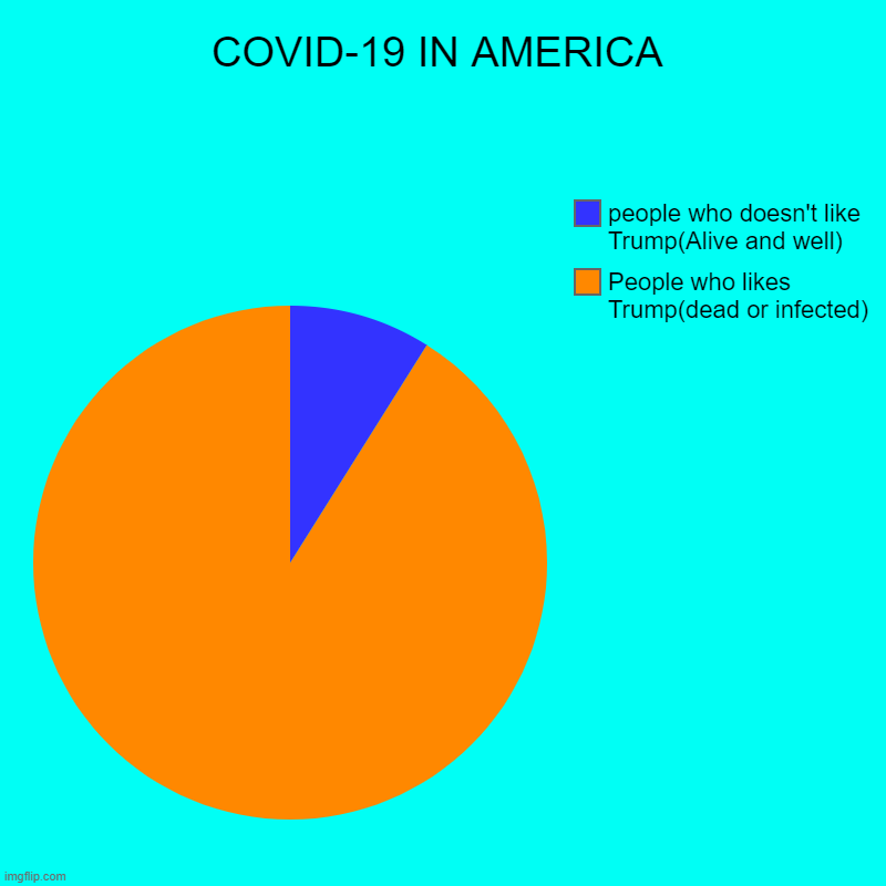 wear your face masks people | COVID-19 IN AMERICA | People who likes Trump(dead or infected), people who doesn't like Trump(Alive and well) | image tagged in charts,pie charts | made w/ Imgflip chart maker