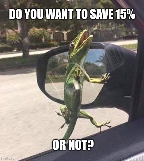 15 minutes could save you 15% | DO YOU WANT TO SAVE 15%; OR NOT? | image tagged in geico,gecko,insurance,save,money,memes | made w/ Imgflip meme maker