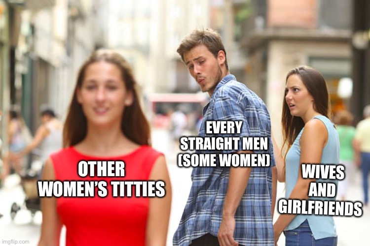 It’s TRUE! | EVERY STRAIGHT MEN (SOME WOMEN); WIVES AND GIRLFRIENDS; OTHER WOMEN’S TITTIES | image tagged in memes,distracted boyfriend | made w/ Imgflip meme maker