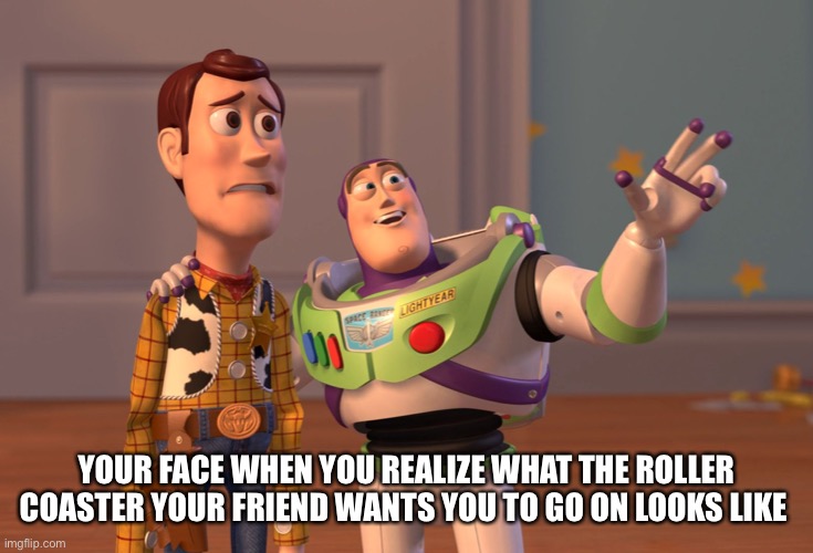 X, X Everywhere Meme | YOUR FACE WHEN YOU REALIZE WHAT THE ROLLER COASTER YOUR FRIEND WANTS YOU TO GO ON LOOKS LIKE | image tagged in memes,x x everywhere | made w/ Imgflip meme maker