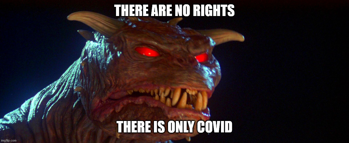 No rights only covid | THERE ARE NO RIGHTS; THERE IS ONLY COVID | image tagged in zuul,covid-19,covid,ghostbusters,rights | made w/ Imgflip meme maker