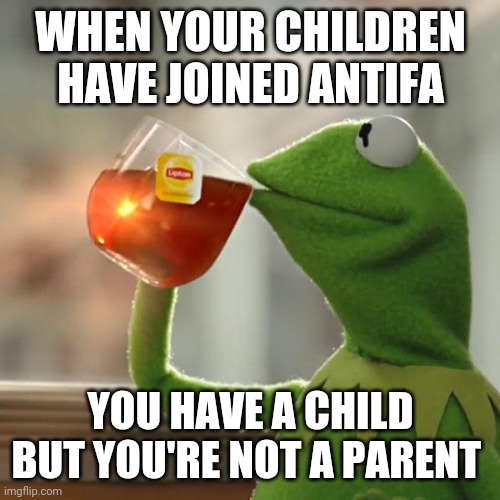 But That's None Of My Business Meme | WHEN YOUR CHILDREN HAVE JOINED ANTIFA YOU HAVE A CHILD BUT YOU'RE NOT A PARENT | image tagged in memes,but that's none of my business,kermit the frog | made w/ Imgflip meme maker