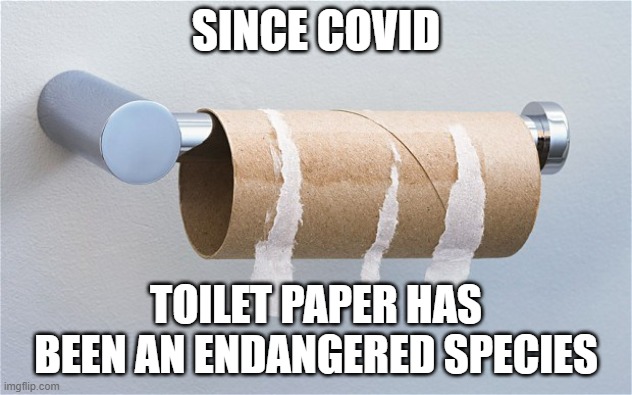 endangered | SINCE COVID; TOILET PAPER HAS BEEN AN ENDANGERED SPECIES | image tagged in empty toilet paper roll | made w/ Imgflip meme maker
